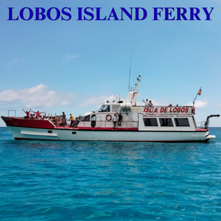FERRY A ISLA DE LOBOS Ferry a Isla de Lobos
