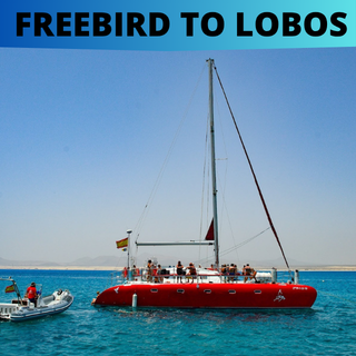 CATAMARAN FREEBIRD TO LOBOS Catamaran a Isla de Lobos