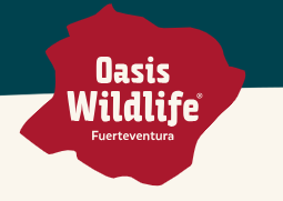OASIS WILDLIFE Logo de Oasis Wildlife en Fuerteventura, con fondo rojo y texto en blanco.