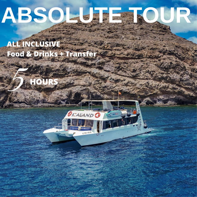 SEALAND CATAMARÁN CATAMARÁN SEALAND