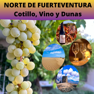 COTILLO, VINO Y DUNAS Norte de Fuerteventura-Cotillo, Vino y Dunas